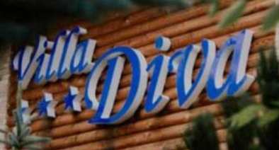 Pensiunea Vila Diva logo